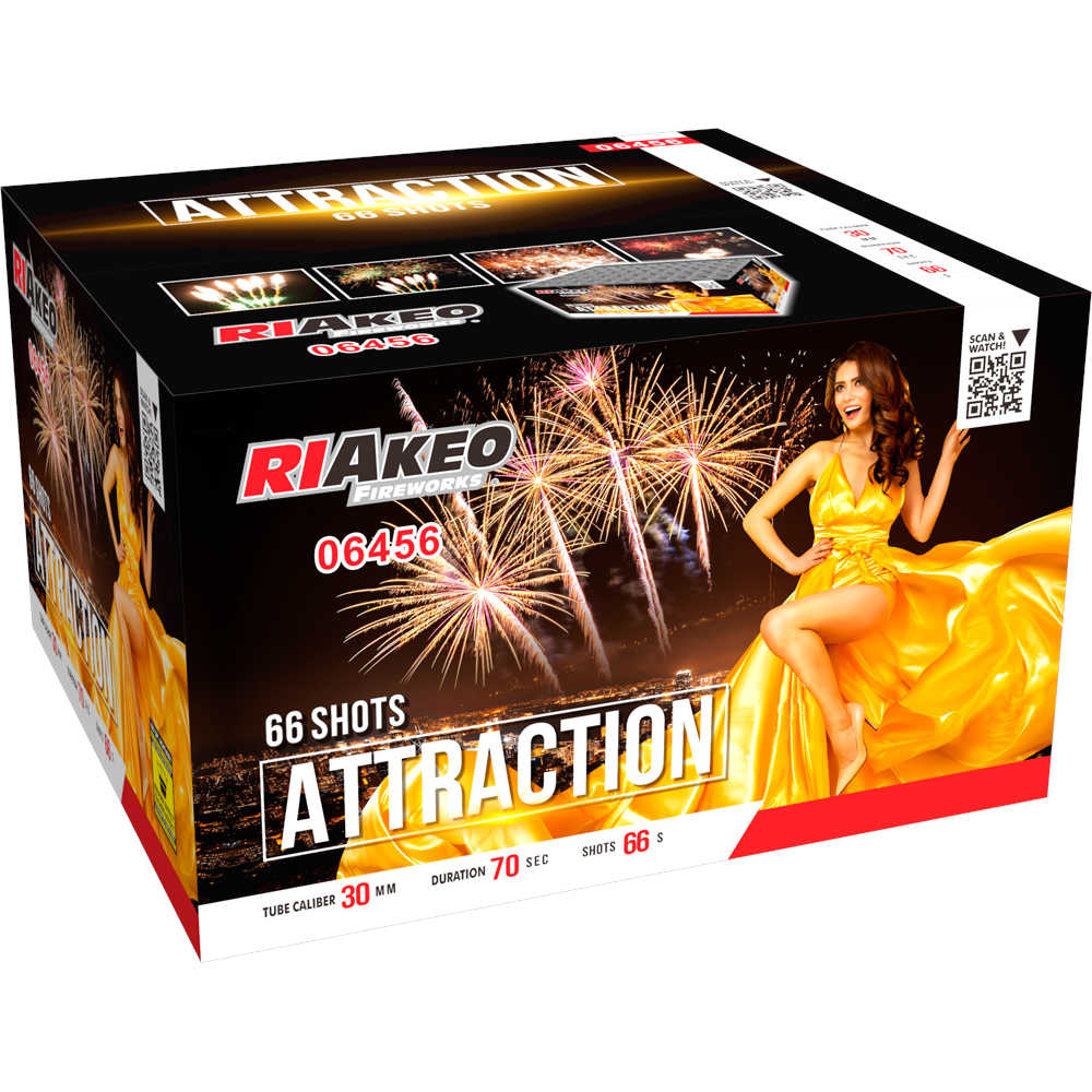 Riakeo Attraction Batterien Potsdam