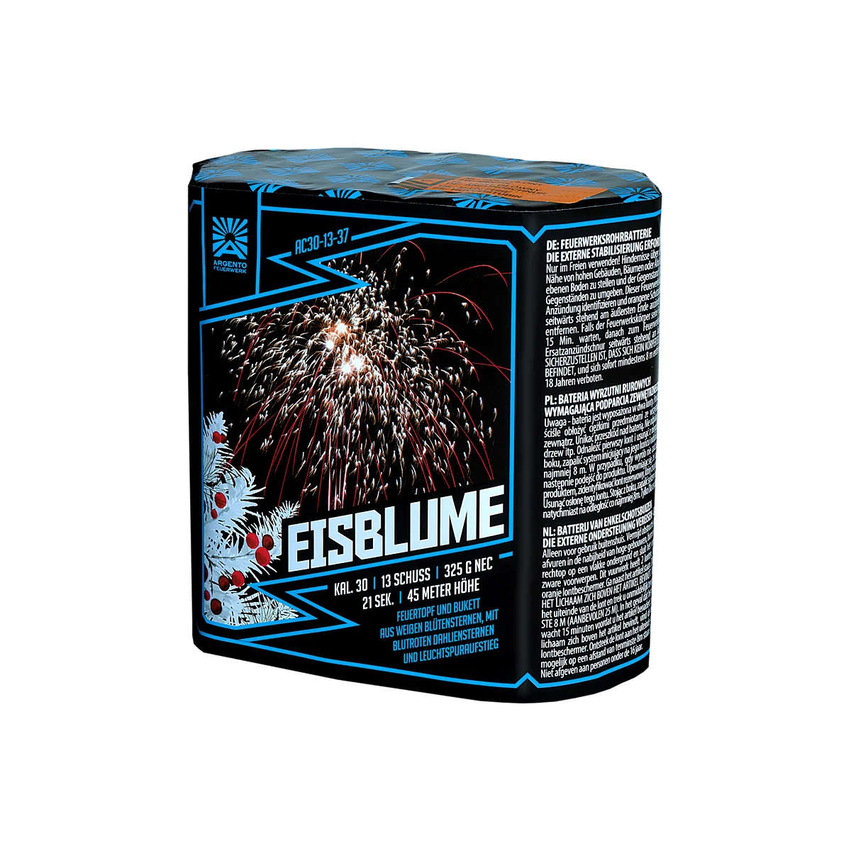 Eisblume Potsdam